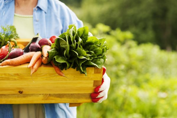 Pillole di Prevenzione: alimentazione sana