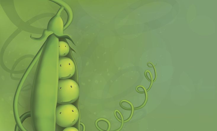 Il design aiuta a mangiare sano a scuola